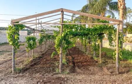 Villa Terraforte, Appartement 14 personnes à Marina di Ragusa - Photo 59