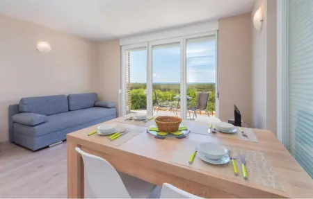 Location Appartement 4 personnes à Povljana - Photo 2