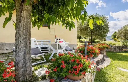 Mimosa, Appartement 4 personnes à Casole d´Elsa Si - Photo 22