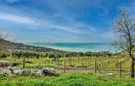 Location Maison 4 personnes à Diamante - Photo 24