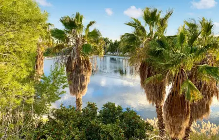 Location Maison 6 personnes à Orihuela Costa - Photo 24