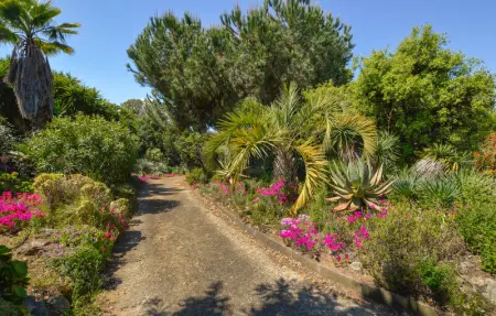 Location Maison 8 personnes à Porticcio - Photo 11