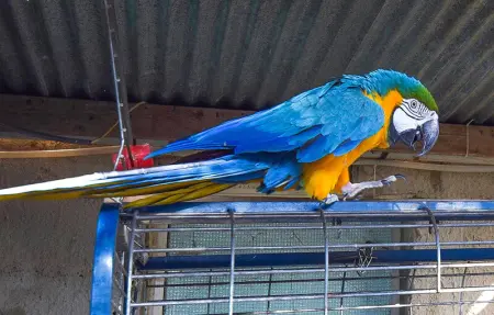 Location Maison 7 personnes à Ragusa - Photo 12