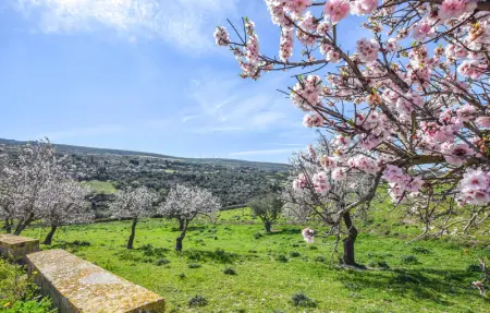 Location Maison 7 personnes à Ragusa - Photo 15