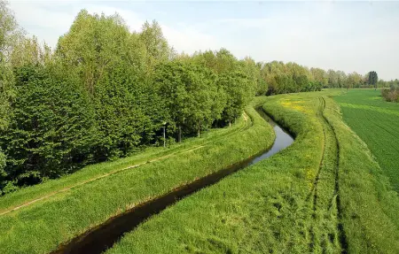 Location Appartement 6 personnes à Montagnana - Photo 6