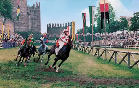 Location Appartement 6 personnes à Montagnana - Photo 18