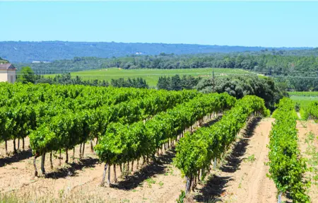 Location Maison 8 personnes à Nîmes - Photo 19