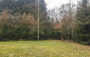 Location Maison 22 personnes à Dirbach - Photo 16