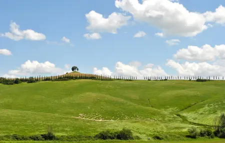 Location Maison 10 personnes à Monticiano - Photo 28