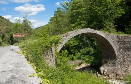 Location Maison 10 personnes à Monticiano - Photo 30