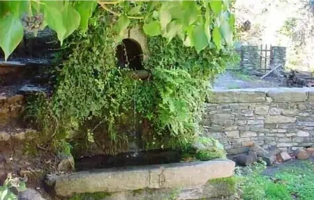 Location Appartement 4 personnes à CARCHETO BRUSTICO - Photo 13