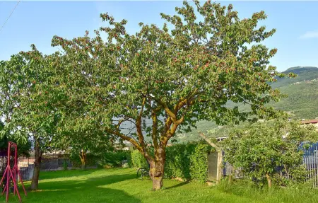 La Gallina, Maison 5 personnes à Artogne - Photo 4