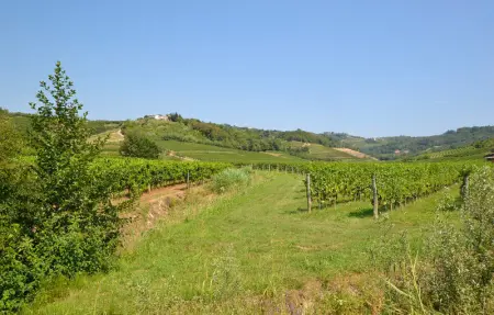 Casa Profumo di Bosco, Appartement 4 personnes à Enemonzo - Photo 18