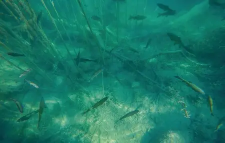 Location Maison 7 personnes à Drnis - Photo 37