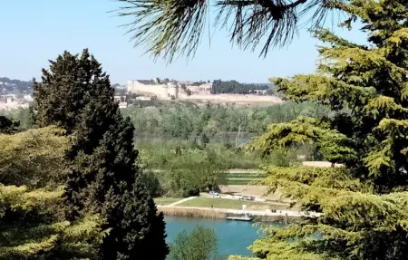 Location Maison 8 personnes à Rochefort du Gard - Photo 22