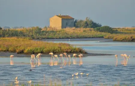 Ginestrino 11A, Appartement 6 personnes à Lido delle Nazioni FE - Photo 14