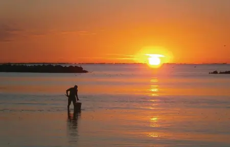 Ginestrino 11A, Appartement 6 personnes à Lido delle Nazioni FE - Photo 16