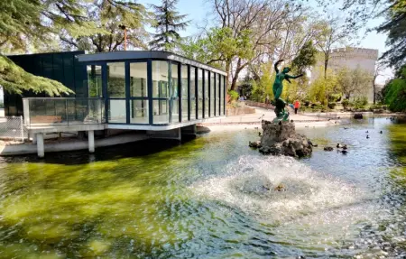 Location Maison 8 personnes à Boulbon - Photo 38