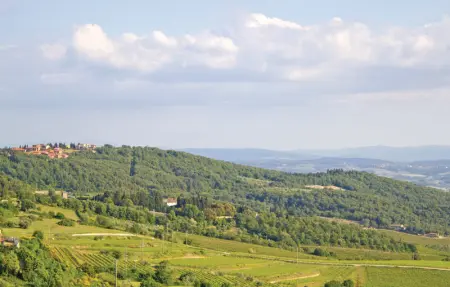 Lilliano B9 Bettini, Maison 11 personnes à Castellina Chianti SI - Photo 28