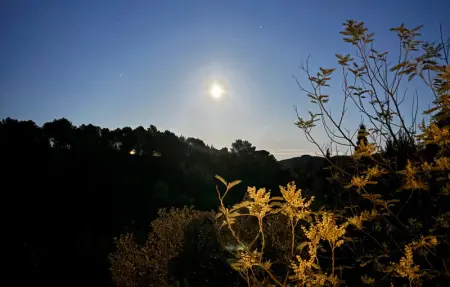 Location Maison 4 personnes à Prades sur Vernazobre - Photo 12