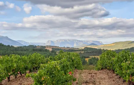 Location Maison 4 personnes à Prades sur Vernazobre - Photo 19