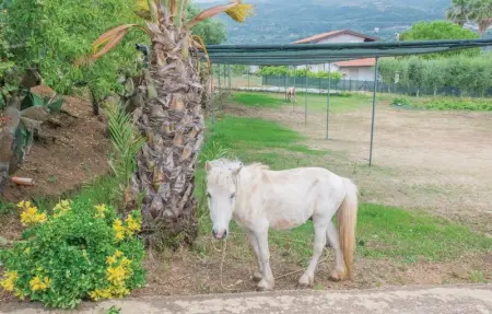 Casa Rosa, Appartement 4 personnes à Ricadi - Photo 17
