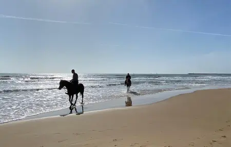 La Casa in Riva al Mare, Maison 5 personnes à Santa Croce Camerina - Photo 20