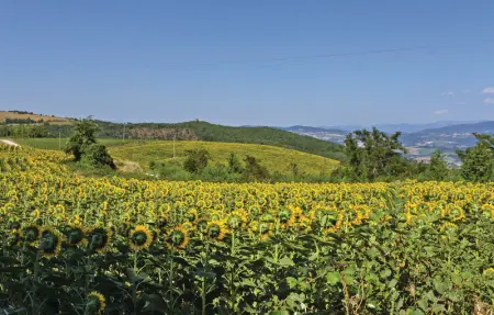 Canonica-Manella, Maison 11 personnes à Todi  PG - Photo 39