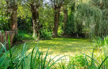 Location Maison 12 personnes à Knesselare - Photo 15