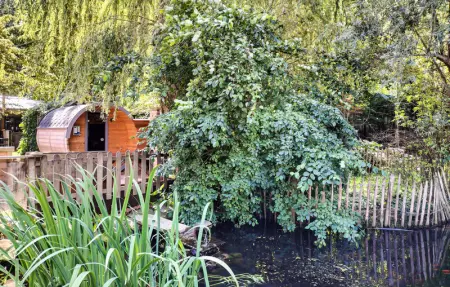 Location Maison 12 personnes à Knesselare - Photo 17