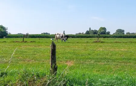 Location Maison 12 personnes à Knesselare - Photo 38