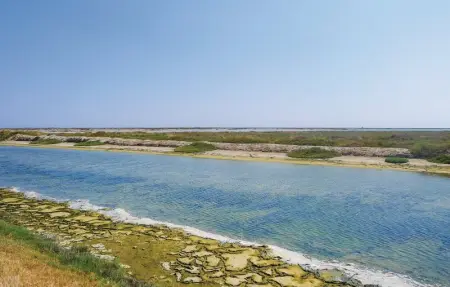 Les Lauriers Roses, Maison 14 personnes à Le Sambuc - Photo 28