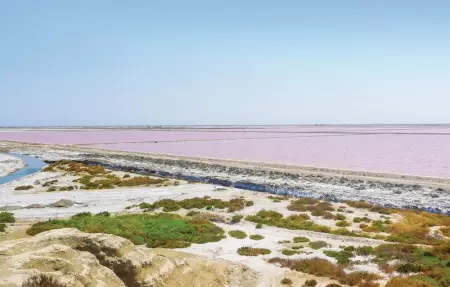 Les Lauriers Roses, Maison 14 personnes à Le Sambuc - Photo 29