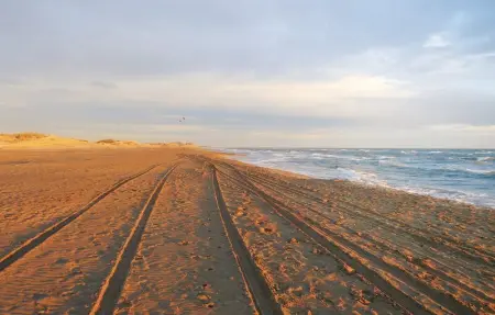 Les Lauriers Roses, Maison 14 personnes à Le Sambuc - Photo 31