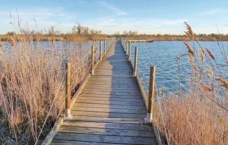 Les Lauriers Roses, Maison 14 personnes à Le Sambuc - Photo 32