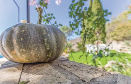 Location Maison 6 personnes à Corumbela - Photo 13