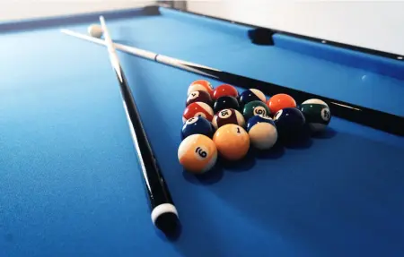 Location Maison 12 personnes à Necujam - Photo 36