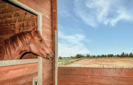 Tenuta Licitra, Maison 4 personnes à Ragusa - Photo 29