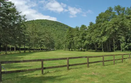 Maison d'Olenne, Maison 14 personnes à Beauraing - Photo 4