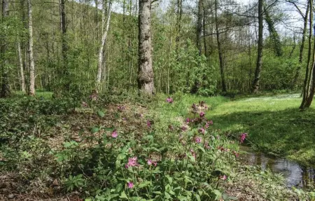 Maison d'Olenne, Maison 14 personnes à Beauraing - Photo 19