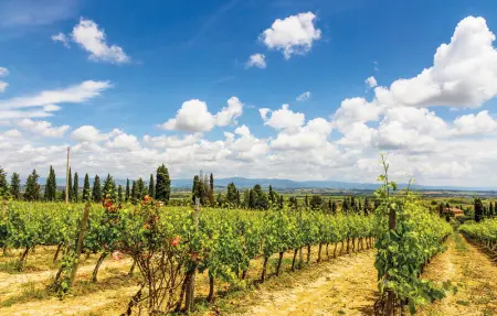 Gallonero 2, Maison 10 personnes à Tavarnelle V.P. FI - Photo 26