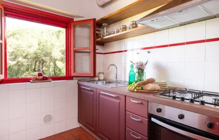 Bastianaccio, Maison 14 personnes à Sassetta  PI - Photo 14