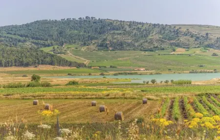 Villa Belvedere, Maison 4 personnes à Sambuca di Sicilia - Photo 17