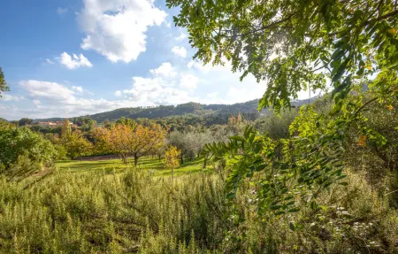 Il Colle, Maison 6 personnes à Anghiari  AR - Photo 4