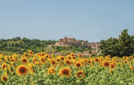 Il Colle, Maison 6 personnes à Anghiari  AR - Photo 19