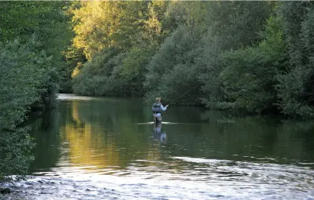 Il Colle, Maison 6 personnes à Anghiari  AR - Photo 22