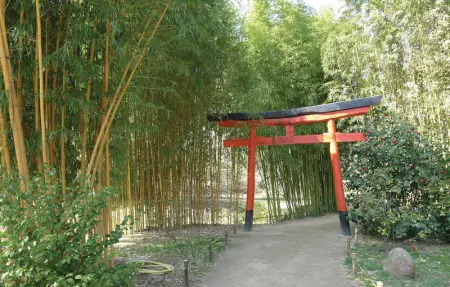 Location Maison 6 personnes à Les Salles du Gardon - Photo 29