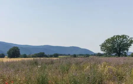 Casa di Pietra, Maison 6 personnes à Ischia di Castro  VT - Photo 23