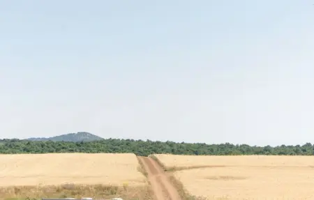 Casa di Pietra, Maison 6 personnes à Ischia di Castro  VT - Photo 24