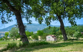 Maison à Montegrimano Terme PU,Villa Coccole IMM208 N°560780